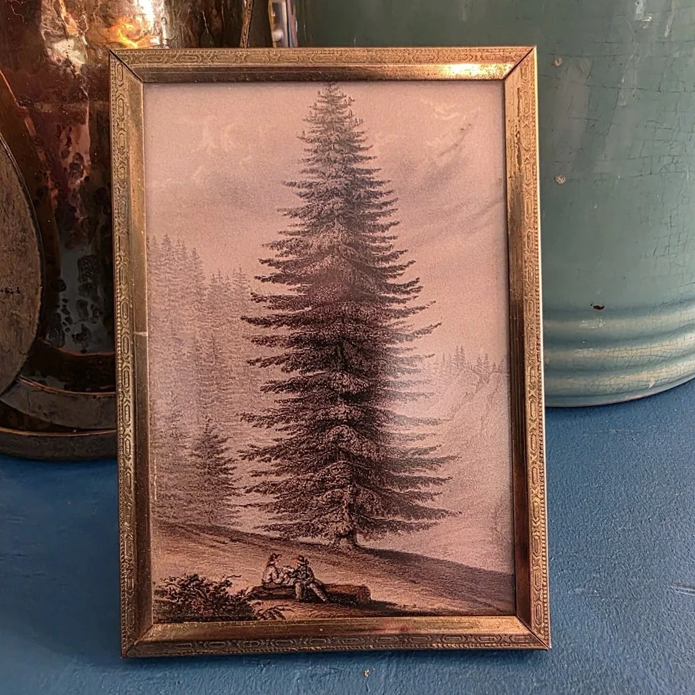 Vintage Brass‎ Embossed Frame Forest Tree Art Print Glass Front 3.75
